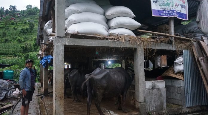 गहुँतबाट मल र जैविक विषादी