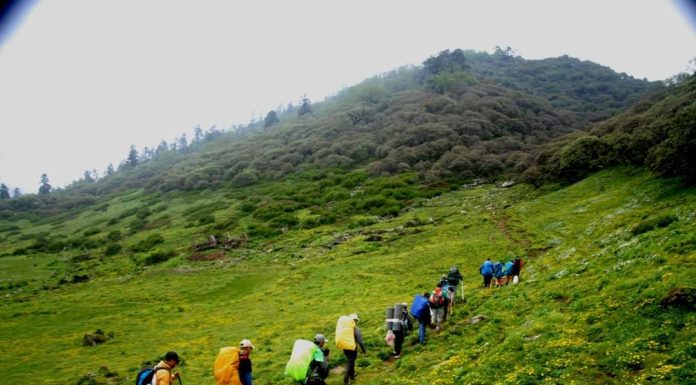 आलेखः भोटमा नुन बोक्दाका कथाव्यथाको साक्षी हो गुरुङ सम्पदा पदमार्ग