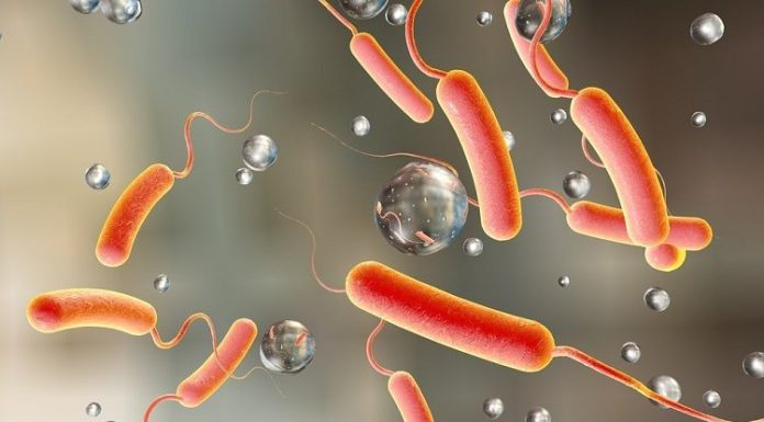 चार जनामा हैजा पुष्टि