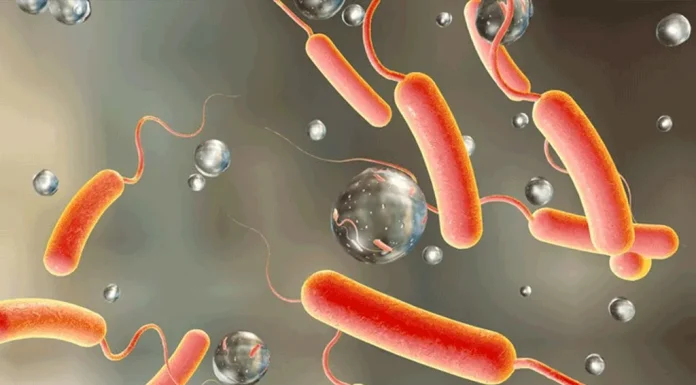 काठमाडौँमा तीन जनामा हैजा पुष्टि