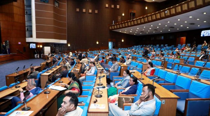 प्रतिनिधिसभाः बढ्दो हवाई दुर्घटनासँगै नियामकको भूमिकामाथि प्रश्न