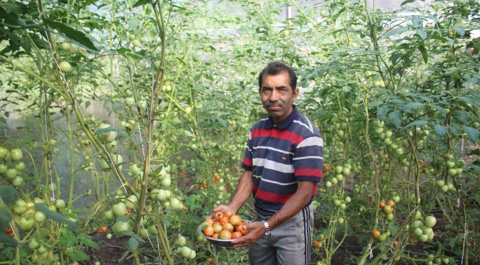 कृषि उपजलाई बजार अभाव