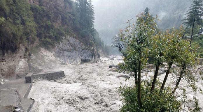 विपद्जन्य घटनाबाट चार जनाको मृत्यु