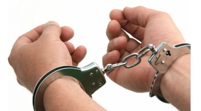 धरापमा परेर गैँडा मरेपछि चार जना पक्राउ