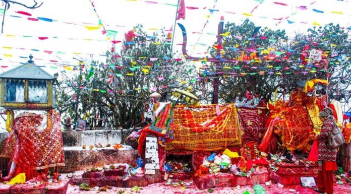 एक वर्षमा पाथीभरामा करिब चार करोड भेटी सङ्कलन