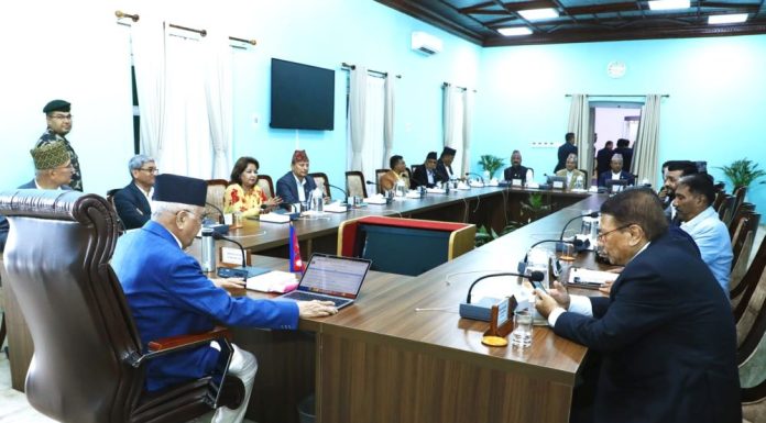 मन्त्रिपरिषदको निर्णयः मुख्य सचिव र राष्ट्रिय योजना आयोगका पदाधिकारी नियुक्त