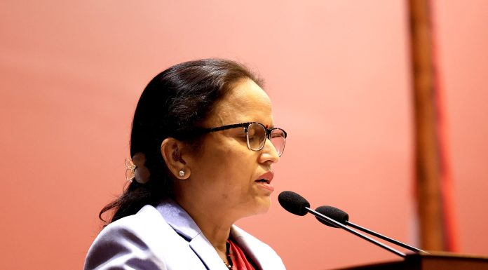 ‘ताकिएको जिम्मेवारी पूरा गर्न रक्षा मन्त्रालय क्रियाशील छ’