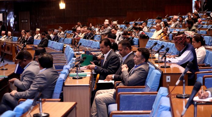 विपद् प्रतिकार्यलाई प्रभावकारी बनाउन सांसदको ध्यानाकर्षण