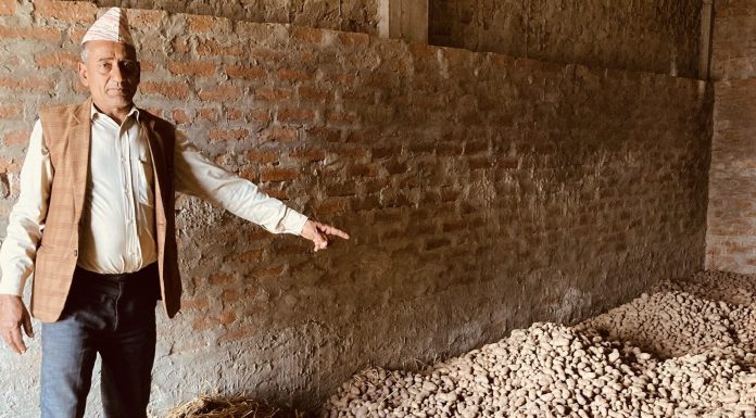 आलु प्रवर्द्धन कार्यक्रमले दुई हजार सात सय क्षेत्र विस्तार