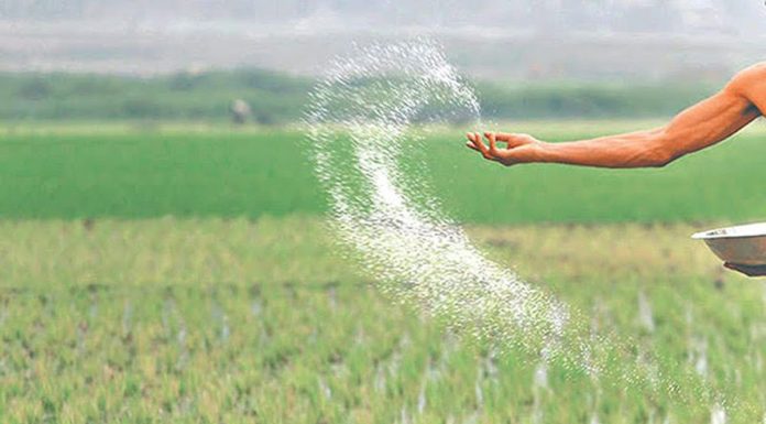 ‘कुन मल र कति मात्रामा प्रयोग गर्ने भन्ने किसानलाई जानकारी छैन’