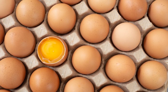 अण्डा उत्पादक ७५ प्रतिशत किसान विस्थापित