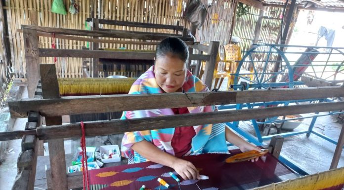 प्यारीमायालाई ढाका उद्यम प्यारो लाग्दा…