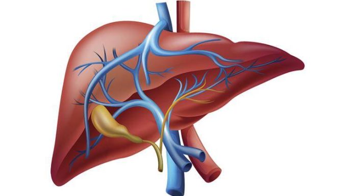 ‘कलेजो क्यान्सरको प्रमुख कारण हेपाटाइटिस भाइरस’