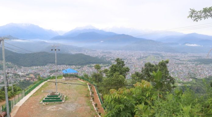 आय आर्जन बढाउन सामुमदायिक वनभित्र उद्यान निर्माण