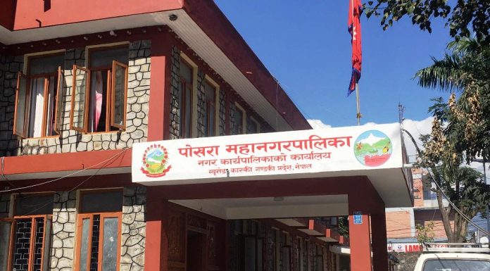 युवाको सारथी बन्दै पोखरा महानगरपालिका