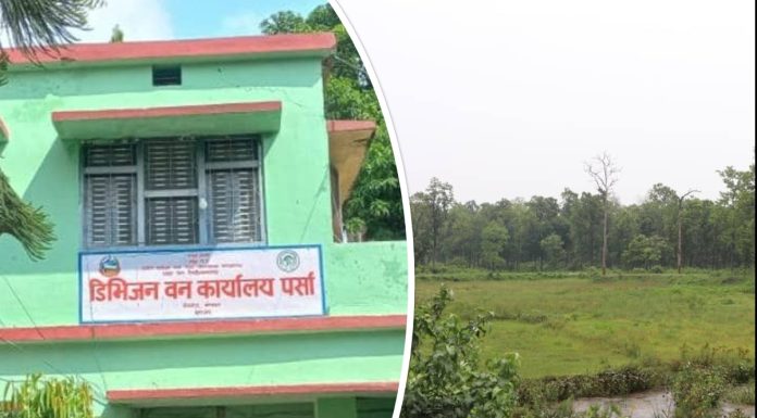 सबैया साझेदारी वन अतिक्रमणमा