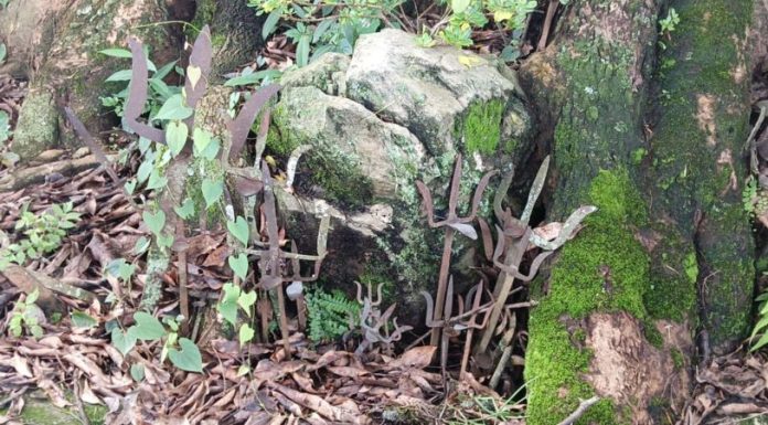 तामाङ बस्तीमा हिन्दुकी देवी, तामाङहरूले नै गर्छन् संरक्षण