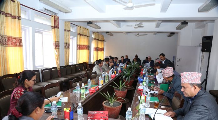 अर्थसहित सातवटा संसदीय समितिको बैठक बस्दै |