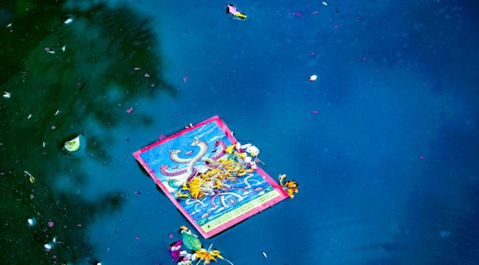 नागलाई खुसि पार्ने पर्व