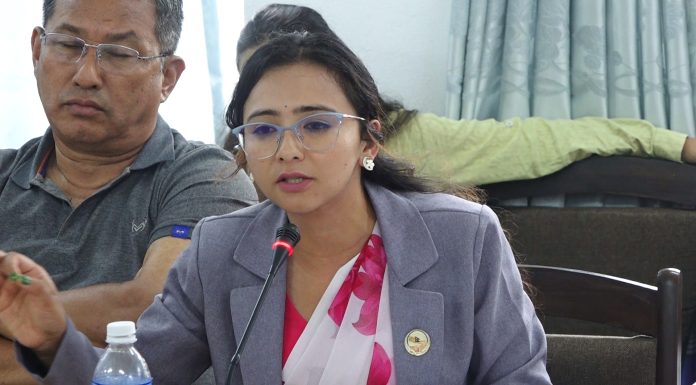 ‘छलफल गर्न आवश्यक नै नरहेको विषयमा बारम्बार छलफल किन ?’