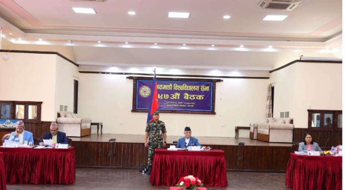 आईटी इकोसिस्टमलाई प्रवर्द्धन गर्न नास आईटी र टीजेएफबीच रणनीतिक सहकार्य