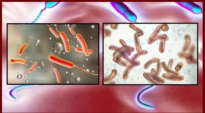 मुलुकभर हैजा संक्रमितको सङ्ख्या २७ पुग्यो, उपत्यकामा सबैभन्दा बढी