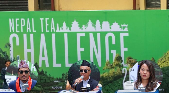 सरकारको सहयोग पाए विदेश जानु पर्दैन् |