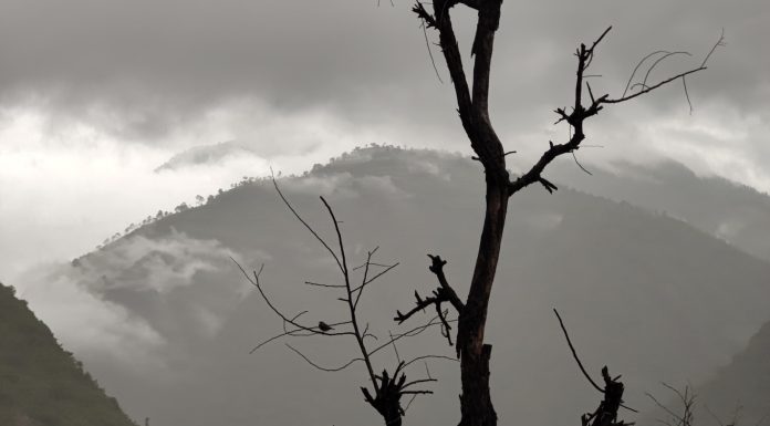 मौसम पूर्वानुमान ः सुदूरपश्चिम र कर्णाली प्रदेशमा मुसलधारे वर्षाको सम्भावना