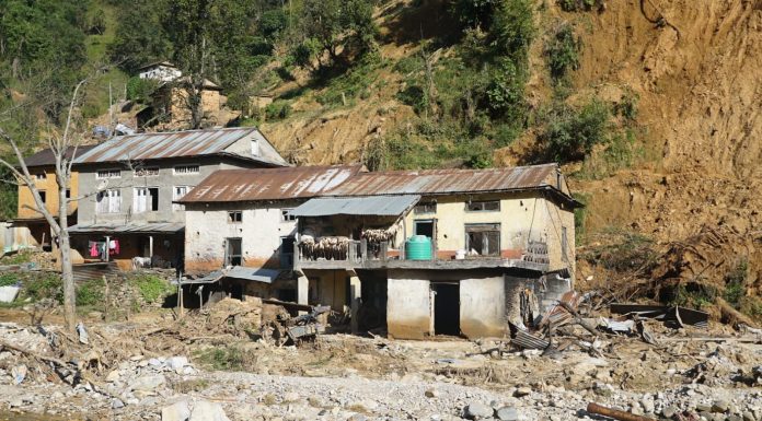 अझै सामान्य नबनेको रोसी