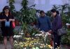 फ्लोरा एक्स्पो’मा उत्साहजनक कारोबार