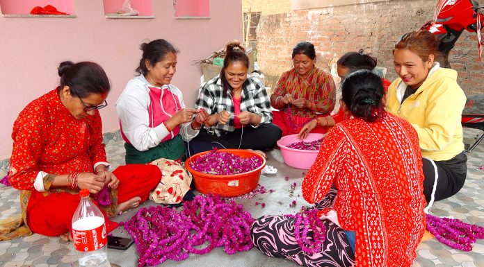 गुन्डुबासी मखमली टिप्न र माला उन्न व्यस्त, मूल्यमा बिचौलियाको रजगज