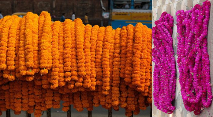 महानगरपालिका क्षेत्रभित्रका ४६ स्थानमा तिहारका लागि स्वदेशी फूल बेच्न पाइने