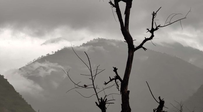 आज यी तीन प्रदेशमा वर्षाको सम्भावना