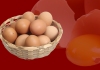 अण्डाको मूल्य बढ्यो