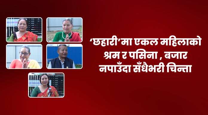 ‘छहारी’मा एकल महिलाको श्रम र पसिना ः बजार नपाउँदा सँधैभरी चिन्ता