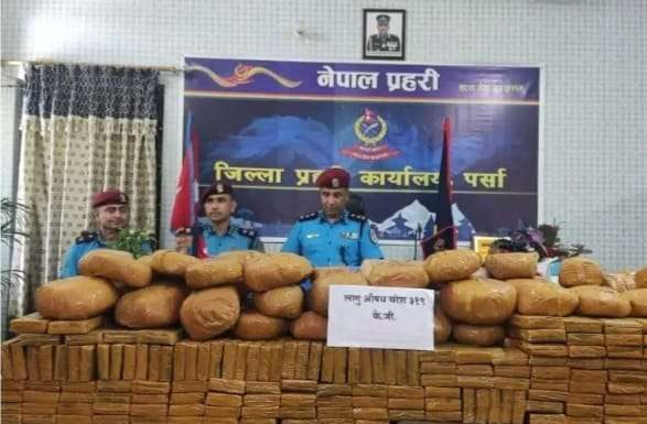 ३ सय १९ केजी चरेस सहित एक जना पक्राउ