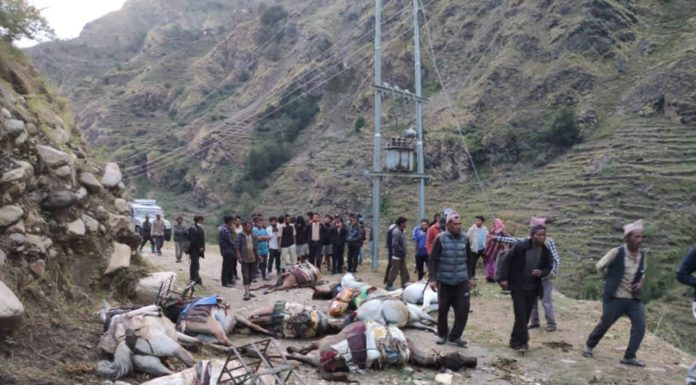 ट्रान्समिटरबाट विद्युत चुहावट हुँदा मुगुमा करेन्ट लागेर दश खच्चर मरे