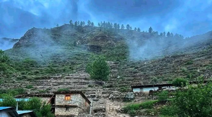 डोल्पाको रिवा गाउँमा पहिरोले ५३ घरमा क्षति