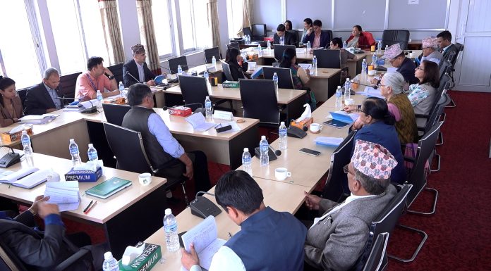 आज चार संसदीय समितिको बैठक बस्दै, यस्ता छन् कार्यसूची