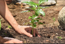 आज युद्ध र सशस्त्र द्वन्द्वमा वातावरणको दुरुपयोग रोक्ने अन्तर्राष्ट्रिय दिवस ||